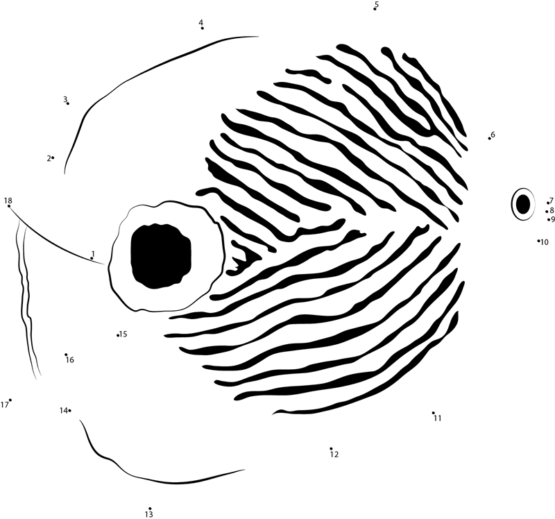 Butterflyfish Side See printable dot to dot worksheet