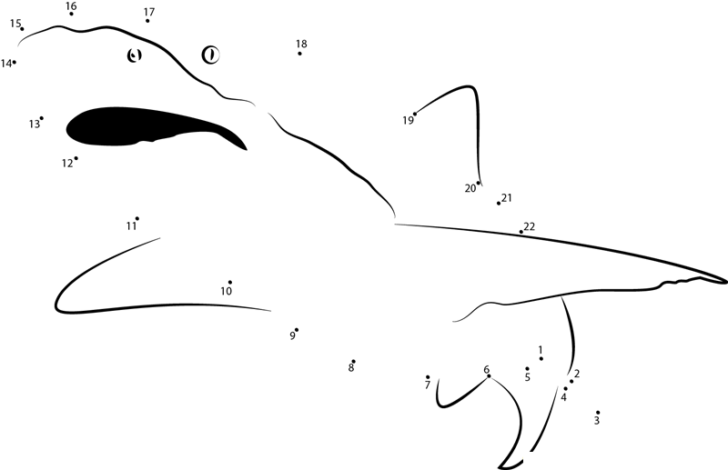 Shark See dot to dot worksheets