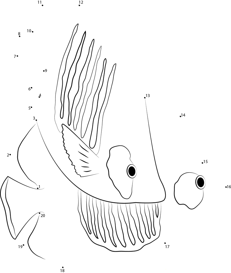 Happy Butterflyfish dot to dot worksheets