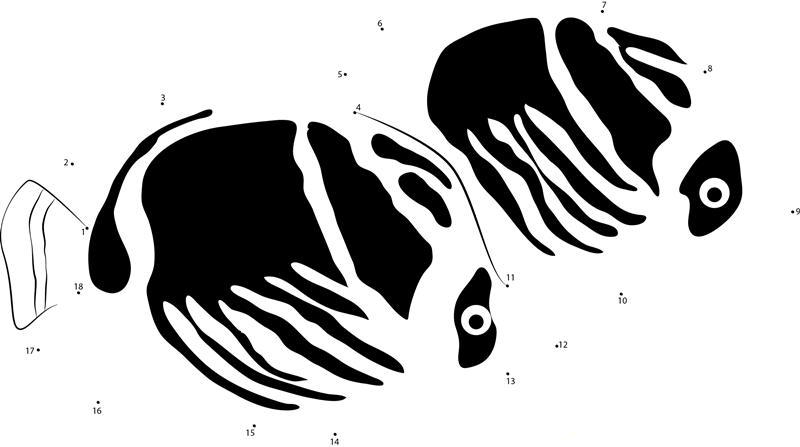 Raccoon Butterflyfish printable dot to dot worksheet