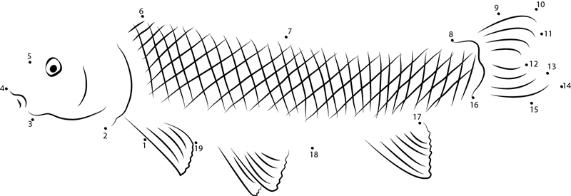 Carp Fish Royalty dot to dot worksheets