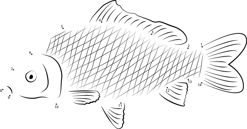 Carp Looking Sad dot to dot worksheets