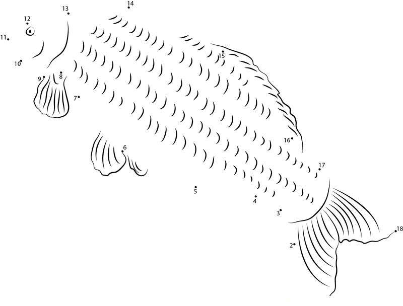 Common Carp dot to dot worksheets