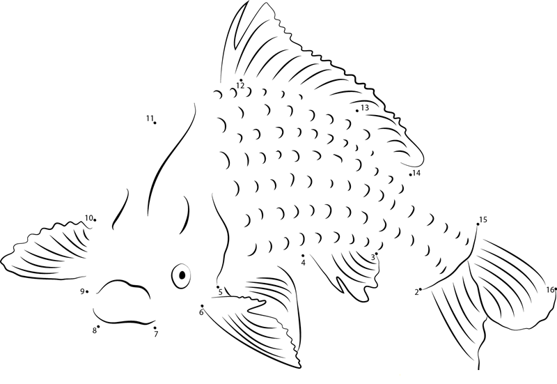 Common Carp Fish dot to dot worksheets