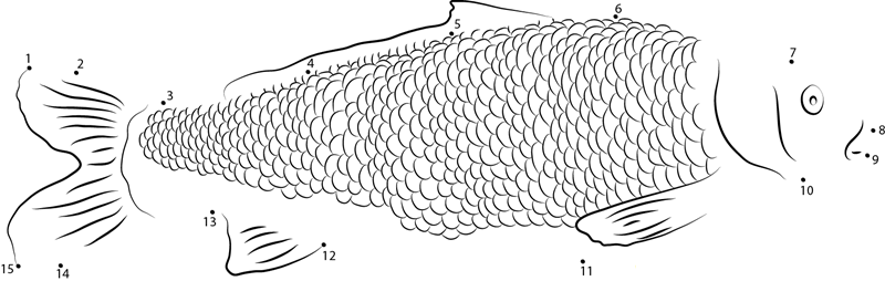 Grass Carp printable dot to dot worksheet