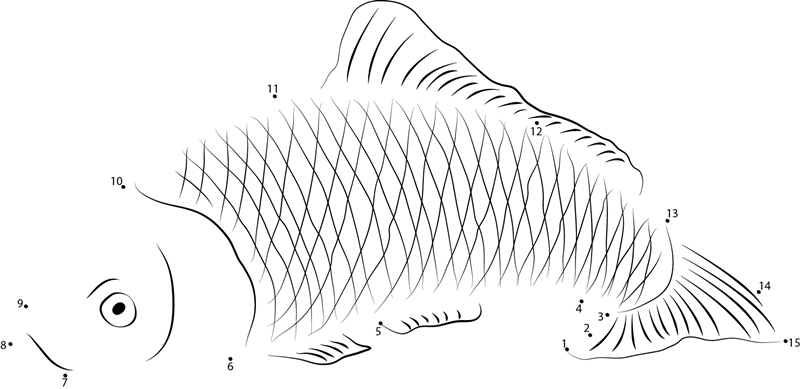 Mrigal Carp dot to dot worksheets