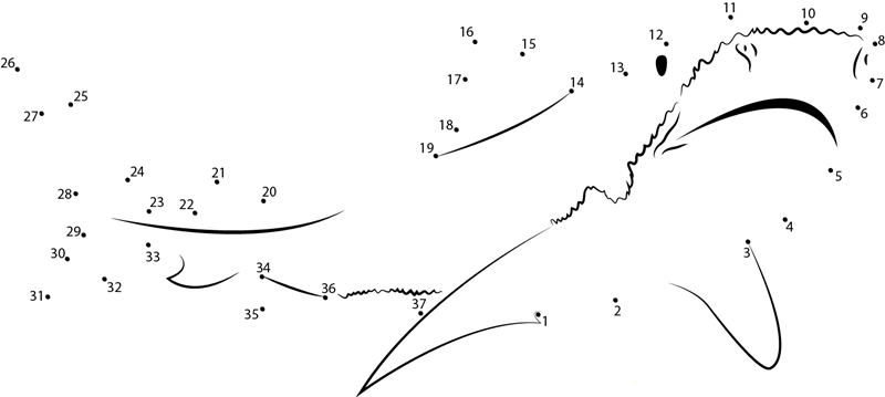 Tiger Shark printable dot to dot worksheet