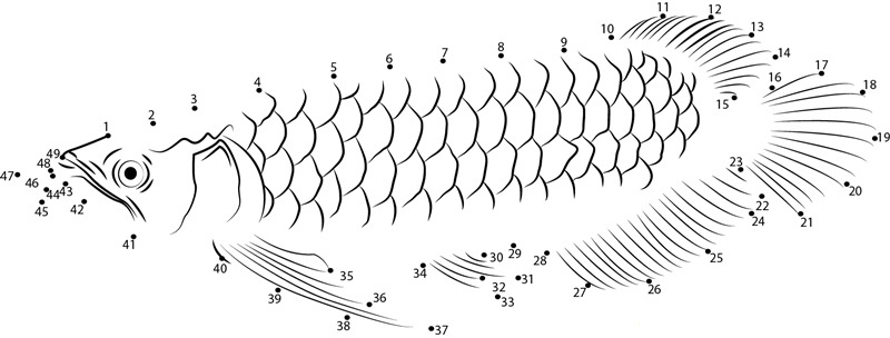 Adolfo X27 S Catfish dot to dot worksheets