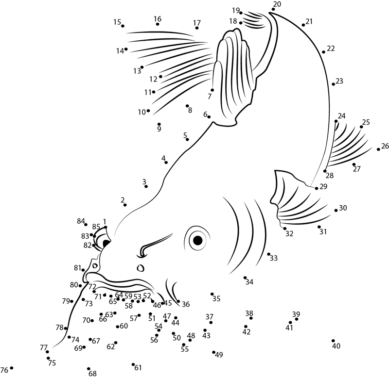 Big Catfish Valerian printable dot to dot worksheet