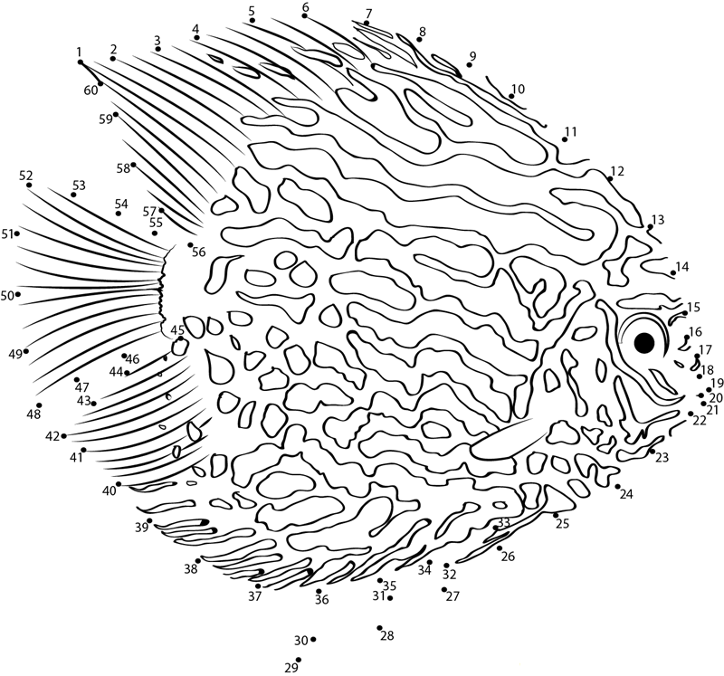 Bronze Corydoras printable dot to dot worksheet