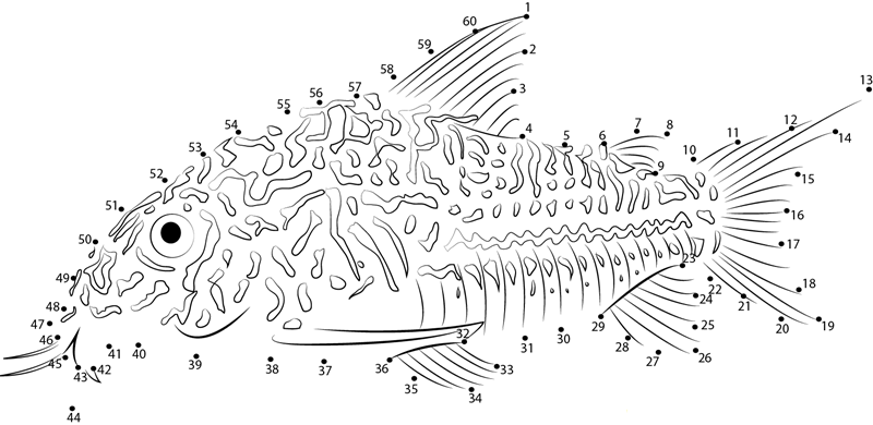 Threestripe Corydoras printable dot to dot worksheet