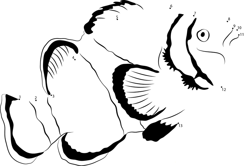 A Close Up Shot Of A Clownfish printable dot to dot worksheet