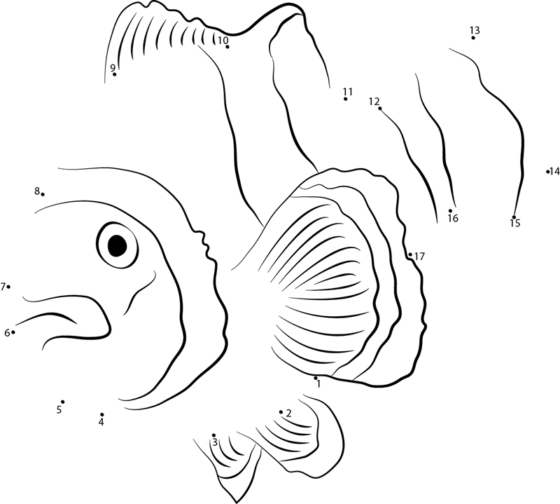 Amphiprion Ocellaris dot to dot worksheets