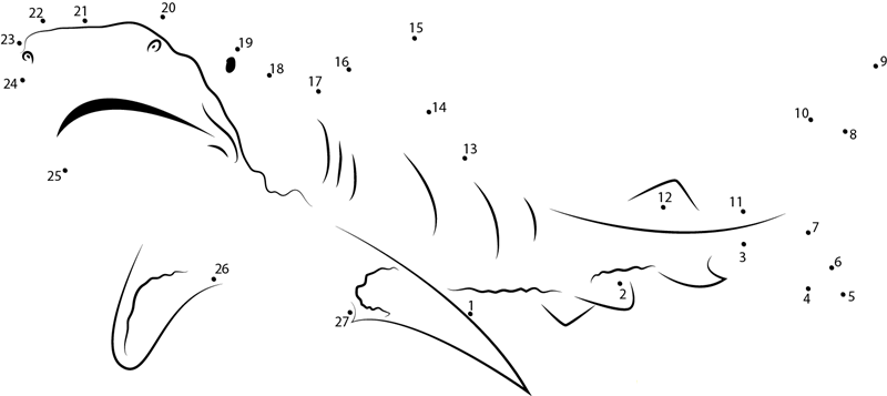 Tiger Shark Migration dot to dot worksheets