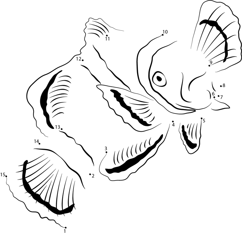 Common Clownfish printable dot to dot worksheet