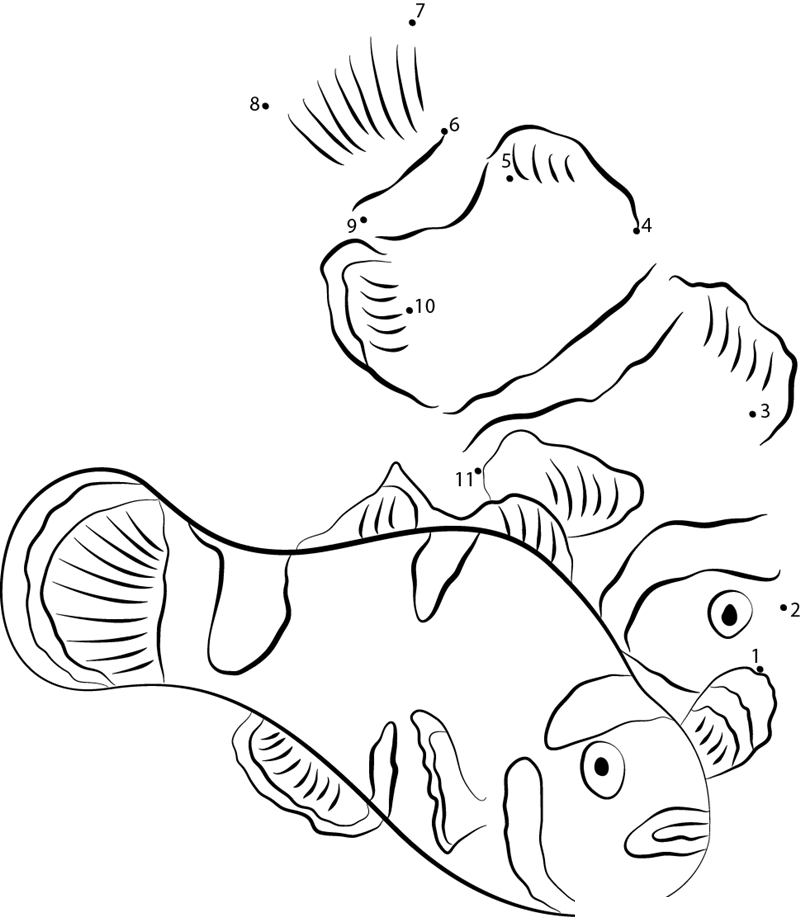 Kissing Clownfish printable dot to dot worksheet