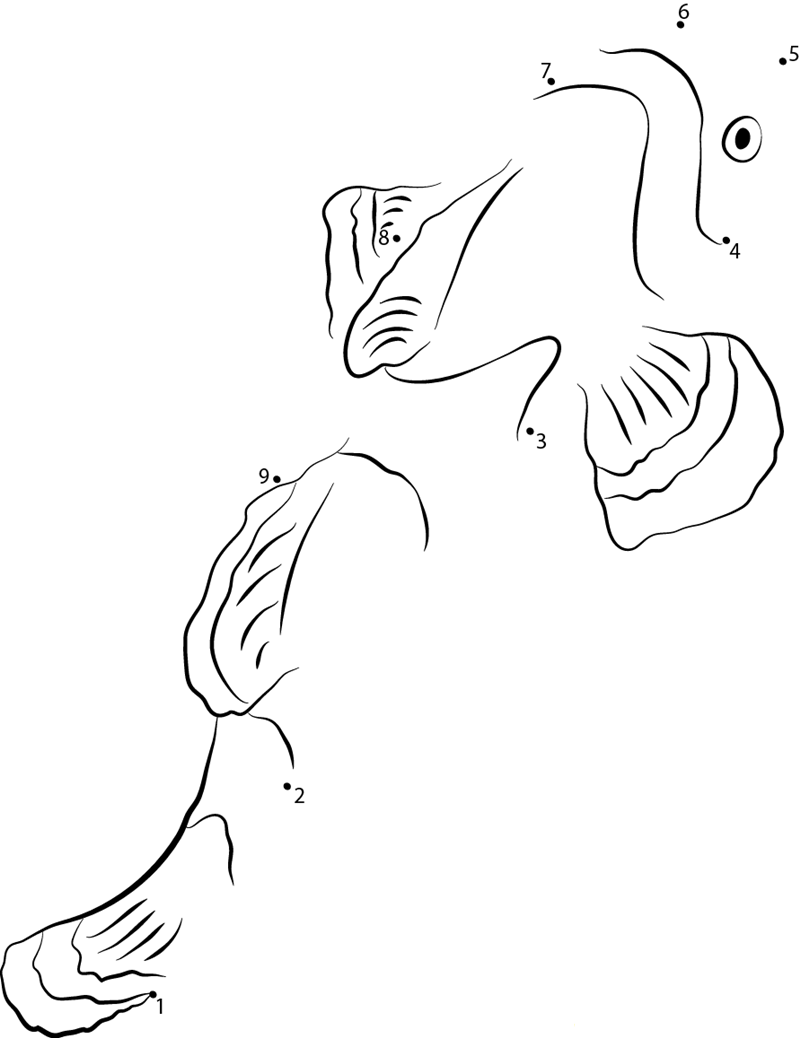 Ocellaris Clownfish dot to dot worksheets