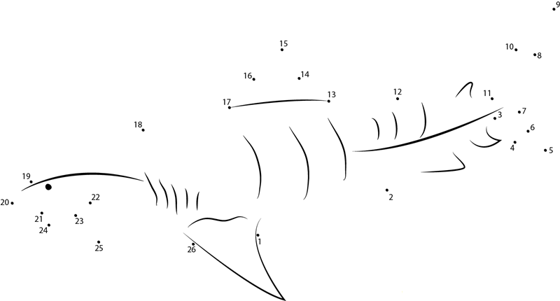 Tiger Shark Underwater dot to dot worksheets