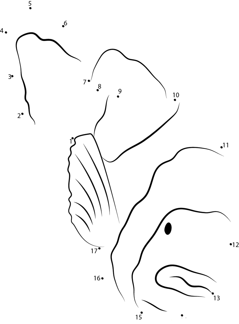 Saddle Clownfish printable dot to dot worksheet