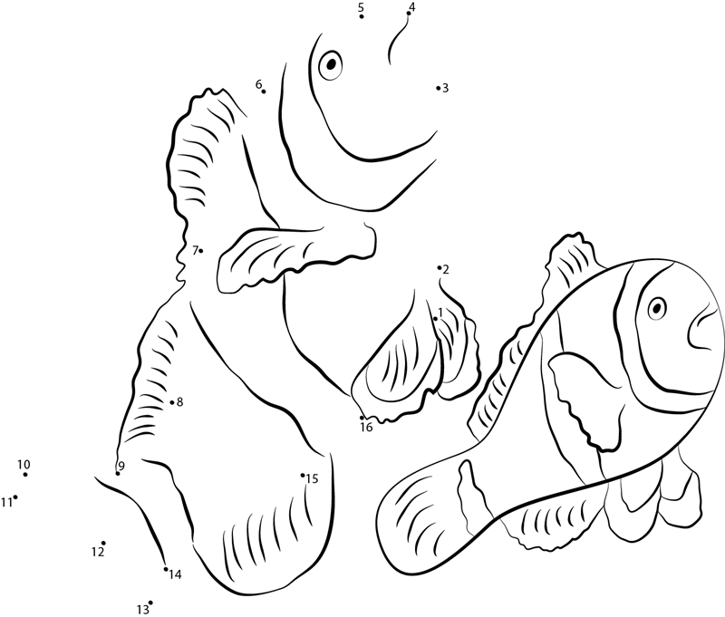 Three Banded Clownfish printable dot to dot worksheet