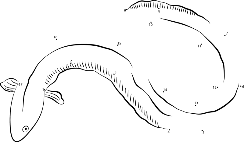 Beautiful Eel printable dot to dot worksheet