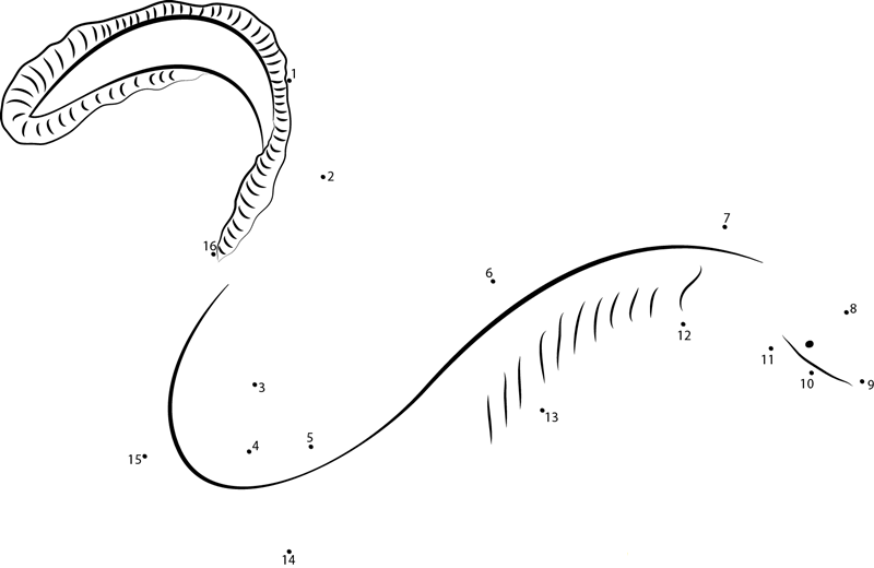 Eel Sleeping printable dot to dot worksheet