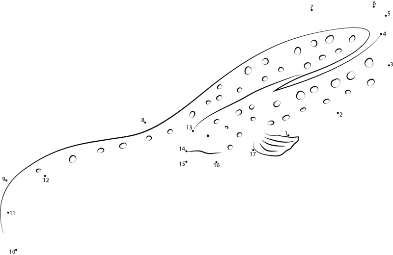 European Eel printable dot to dot worksheet