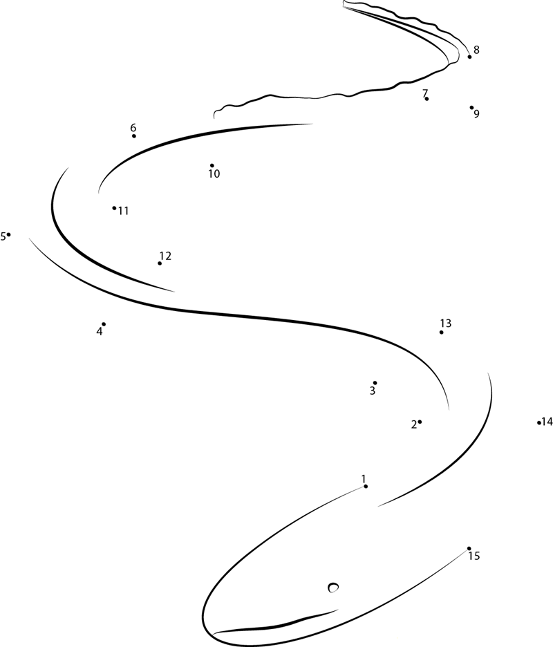 Freshwater Eel printable dot to dot worksheet