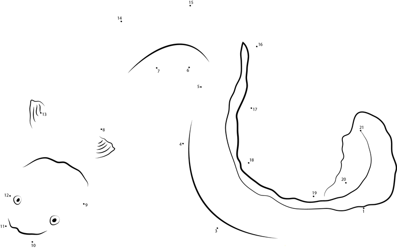 Live Eel Fish printable dot to dot worksheet