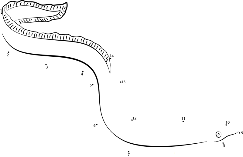 Long Neck Eel dot to dot worksheets