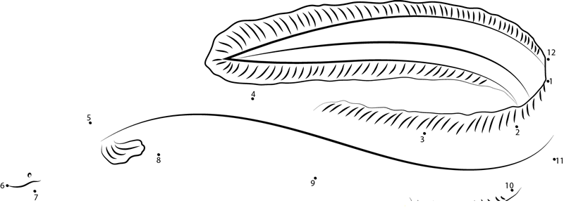 Snake Eel printable dot to dot worksheet