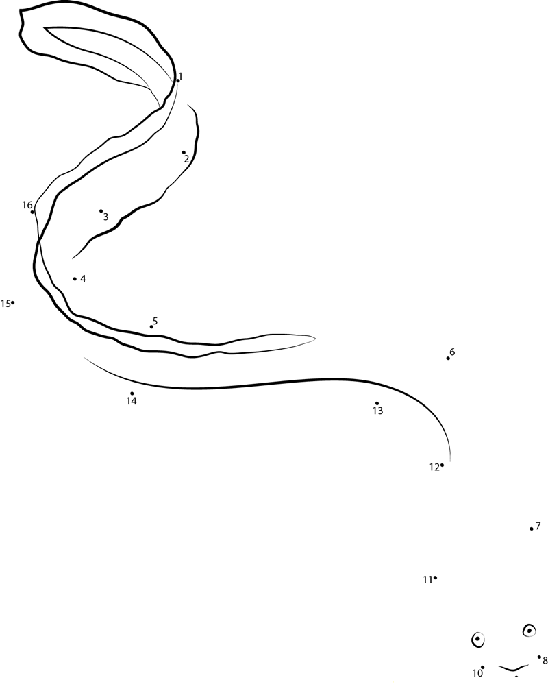 Spaghetti Eel printable dot to dot worksheet