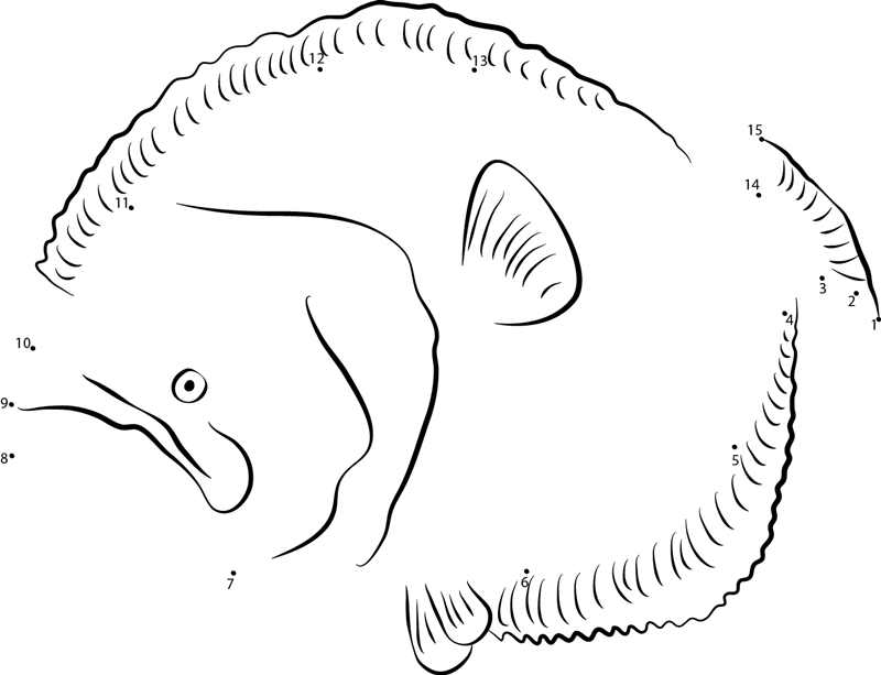 Gulf Flounder printable dot to dot worksheet