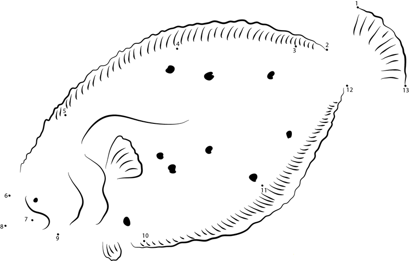 Southern Flounder printable dot to dot worksheet