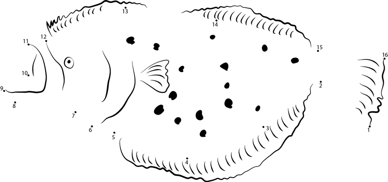 Spotted Flounder printable dot to dot worksheet