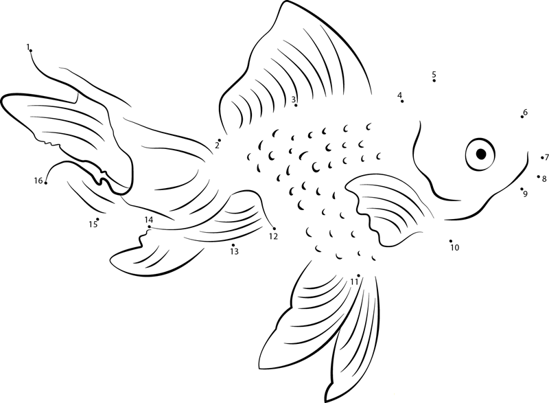 Beautiful Goldfish dot to dot worksheets