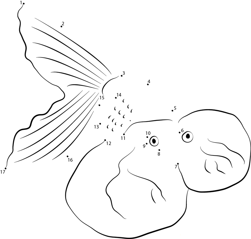 Bubble Eye Goldfish printable dot to dot worksheet