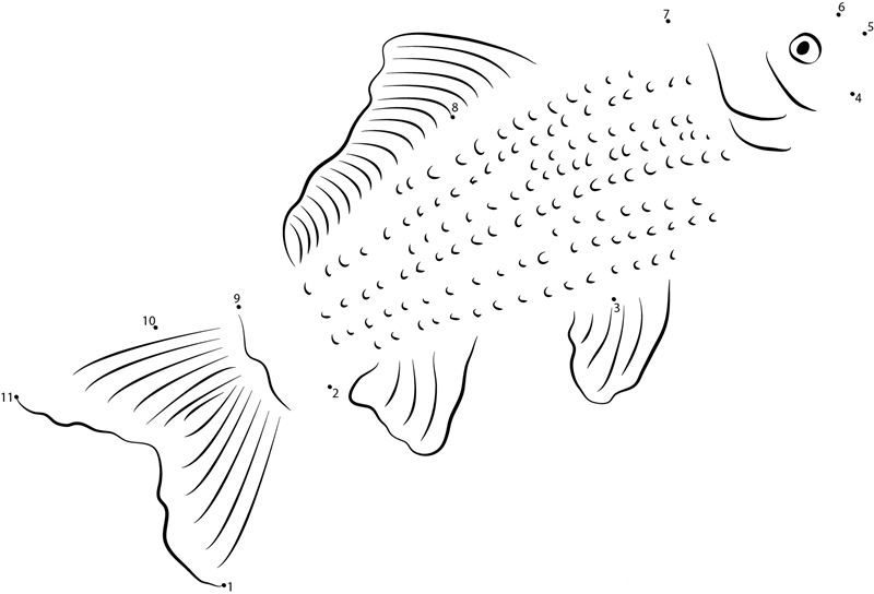 Butterfly Telescope Fantail Fancy Goldfish printable dot to dot worksheet