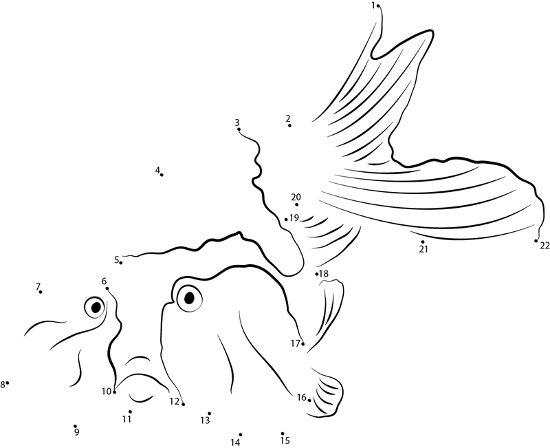 Curly Fantail Goldfish printable dot to dot worksheet