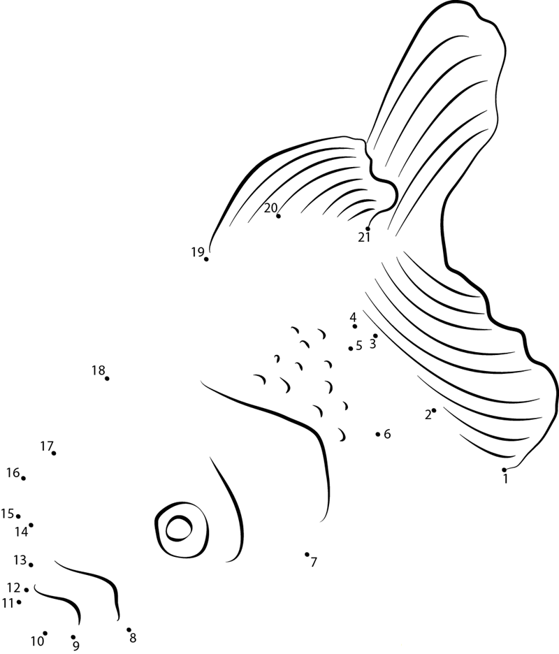 Goldfish Eat Food Stone printable dot to dot worksheet