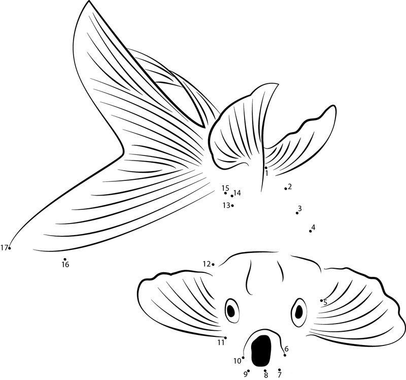 Goldfish Open Mouth dot to dot worksheets