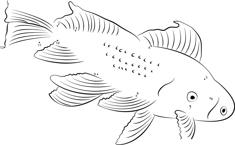 Life Of Goldfish printable dot to dot worksheet