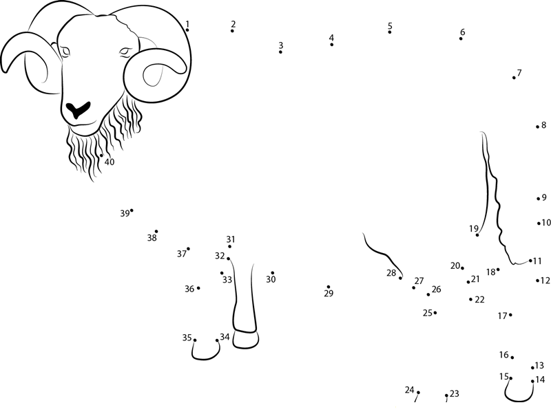 Blackface Ram Sheep printable dot to dot worksheet