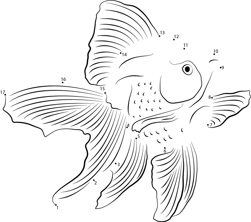 Oranda Goldfish printable dot to dot worksheet