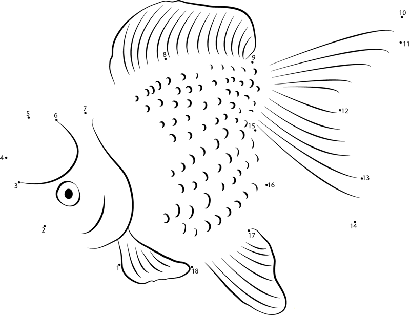 Ranchu Goldfish printable dot to dot worksheet