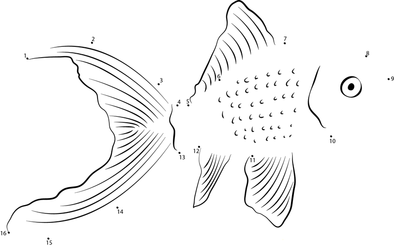 Sabao Goldfish printable dot to dot worksheet