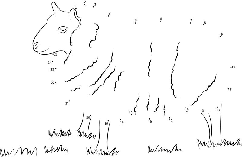 Cheviot Sheep printable dot to dot worksheet