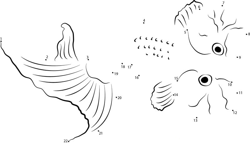 Suihogan Goldfish printable dot to dot worksheet