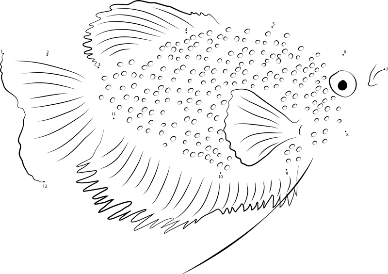 Black Gouramis dot to dot worksheets