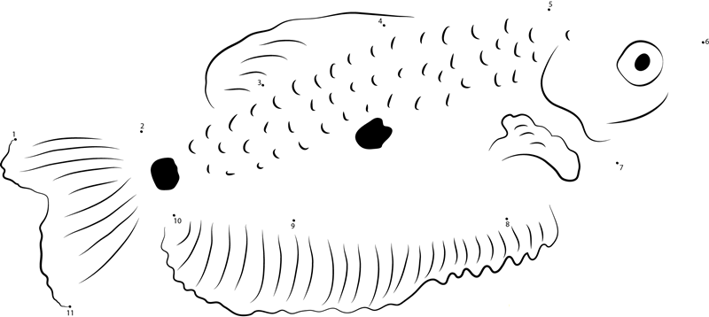 Blue Gourami printable dot to dot worksheet